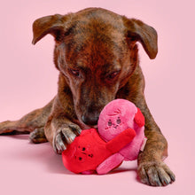 Load image into Gallery viewer, THE FURRYFOLKS - LOVE LOCKED