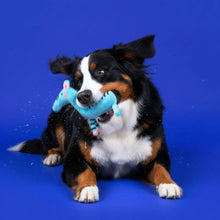 Load image into Gallery viewer, JAMPY - FERNANDA THE ZEBRA