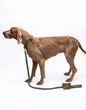 Load image into Gallery viewer, UNITED PETS - SOFT PADDED LEASH - GREEN