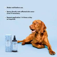 Load image into Gallery viewer, BELLY - NO ITCH SPRAY