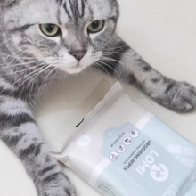 Load image into Gallery viewer, LOMI - BAMBOO GROOMING WIPES - TRAVEL SIZE