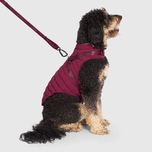 Load image into Gallery viewer, CANADA POOCH - HARNESS PUFFER RAINCOAT PLUM