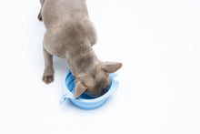Load image into Gallery viewer, UNITED PETS - FOLDABLE TRAVEL BOWL
