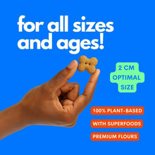 Load image into Gallery viewer, JAMPY - POP A BISCUIT - SAVORY CAKE