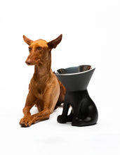 Load image into Gallery viewer, UNITED PETS - ELIZABETH - THE QUEEN OF BOWL