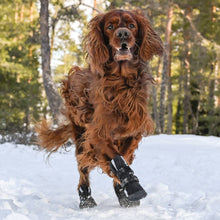 Load image into Gallery viewer, FINNERO - HALLA SOFTSHELL BOOTIES