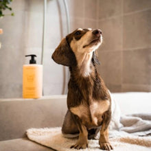 Load image into Gallery viewer, DOGSPA - HYDRATING SHAMPOO