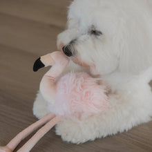 Load image into Gallery viewer, LAMBWOLF COLLECTIVE - FLAMINGO