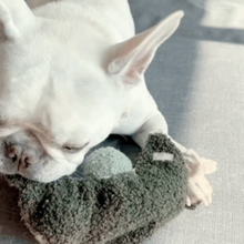 Load image into Gallery viewer, LAMBWOLF COLLECTIVE - PEA POP