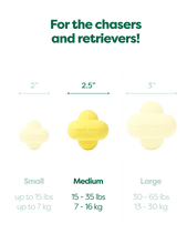 Load image into Gallery viewer, EARTH RATED - FETCH TOY