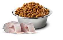 Load image into Gallery viewer, FARMINA WHITE - ADULT DOG - FISH MONOPROTEIN