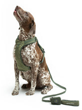 Load image into Gallery viewer, UNITED PETS - LEASH WITH PADDED HANDLE - GREEN