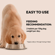 Load image into Gallery viewer, BELLY - STRONG JOINTS & BONES