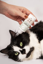 Load image into Gallery viewer, LOMI - NATURAL EAR CLEANER