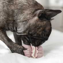 Load image into Gallery viewer, LAMBWOLF COLLECTIVE - PETITE TWO