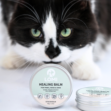 Load image into Gallery viewer, LOMI - HEALING BALM - FOR DOGS & CATS