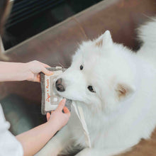 Load image into Gallery viewer, LAMBWOLF COLLECTIVE - CASSETTE