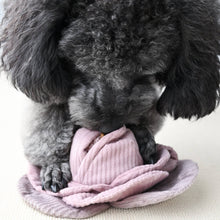 Load image into Gallery viewer, LAMBWOLF COLLECTIVE - CABBAGE