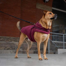 Load image into Gallery viewer, CANADA POOCH - HARNESS PUFFER RAINCOAT PLUM