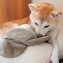 Load image into Gallery viewer, LAMBWOLF COLLECTIVE - CABBAGE