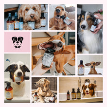 Load image into Gallery viewer, BELLY - STOP URINE SPRAY