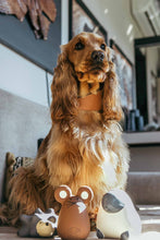 Load image into Gallery viewer, UNITED PETS - TATO