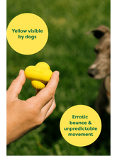 Load image into Gallery viewer, EARTH RATED - FETCH TOY