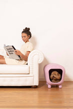 Load image into Gallery viewer, UNITED PETS - DESIGNER BENCH AND DOGHOUSE WITH TWO-TONE INNER CUSHION