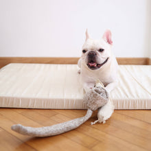 Load image into Gallery viewer, LAMBWOLF COLLECTIVE - SNAIL