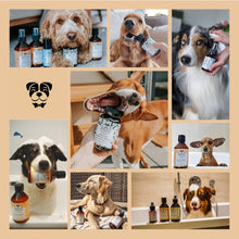 Load image into Gallery viewer, BELLY - NEAT DOG FRESH COTTON