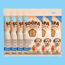 Load image into Gallery viewer, SOOPA - BANANA & PUMPKIN PUPPY DENTAL STICK