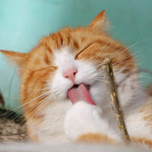 Load image into Gallery viewer, CROCI - CHEWABLE EUPHORIA CHOPSTICKS