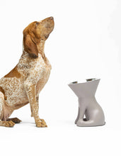 Load image into Gallery viewer, UNITED PETS - ELIZABETH - THE QUEEN OF BOWL