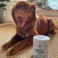 Load image into Gallery viewer, IMBY - PROBIOTICS SUPPLEMENT