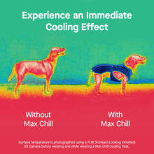 Load image into Gallery viewer, CANADA POOCH - MAX CHILL COOLING SNOOD - BLUE
