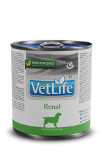 Load image into Gallery viewer, FARMINA - RENAL