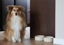 Load image into Gallery viewer, AVA BOWLS - CERAMIC BOWL FENNEC - MEDIUM