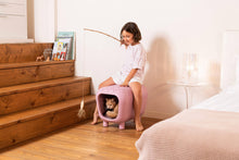 Load image into Gallery viewer, UNITED PETS - DESIGNER BENCH AND DOGHOUSE WITH TWO-TONE INNER CUSHION