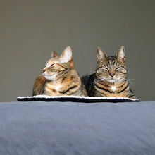 Load image into Gallery viewer, D&D - MAEVE - ROUND PLAID