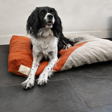 Load image into Gallery viewer, D&D - MADDY