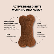 Load image into Gallery viewer, BELLY - PRE & PROBIOTIC SUPPORT