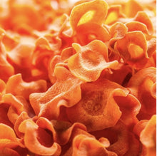 Load image into Gallery viewer, COOKA'S COOKIES - AIR DRIED CARROTS CHIPS