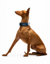 Load image into Gallery viewer, UNITED PETS - PADDED SOFT COLLAR - DENIM