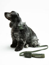 Load image into Gallery viewer, UNITED PETS - LEASH WITH PADDED HANDLE - GREEN