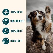 Load image into Gallery viewer, IMBY - PAW AND NOSE BALM