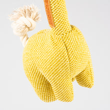 Load image into Gallery viewer, D&D HOME COLLECTION - GEORGE - CHENILLE SMALL