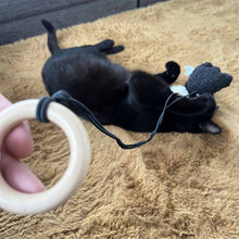 Load image into Gallery viewer, D&D HOME COLLECTION - BOUNCY BELLE