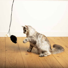 Load image into Gallery viewer, D&D HOME COLLECTION - BOUNCY BELLE