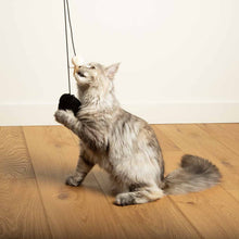 Load image into Gallery viewer, D&D HOME COLLECTION - BOUNCY BELLE