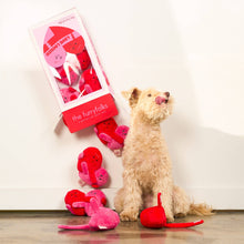 Load image into Gallery viewer, THE FURRYFOLKS - LOVE LOCKED